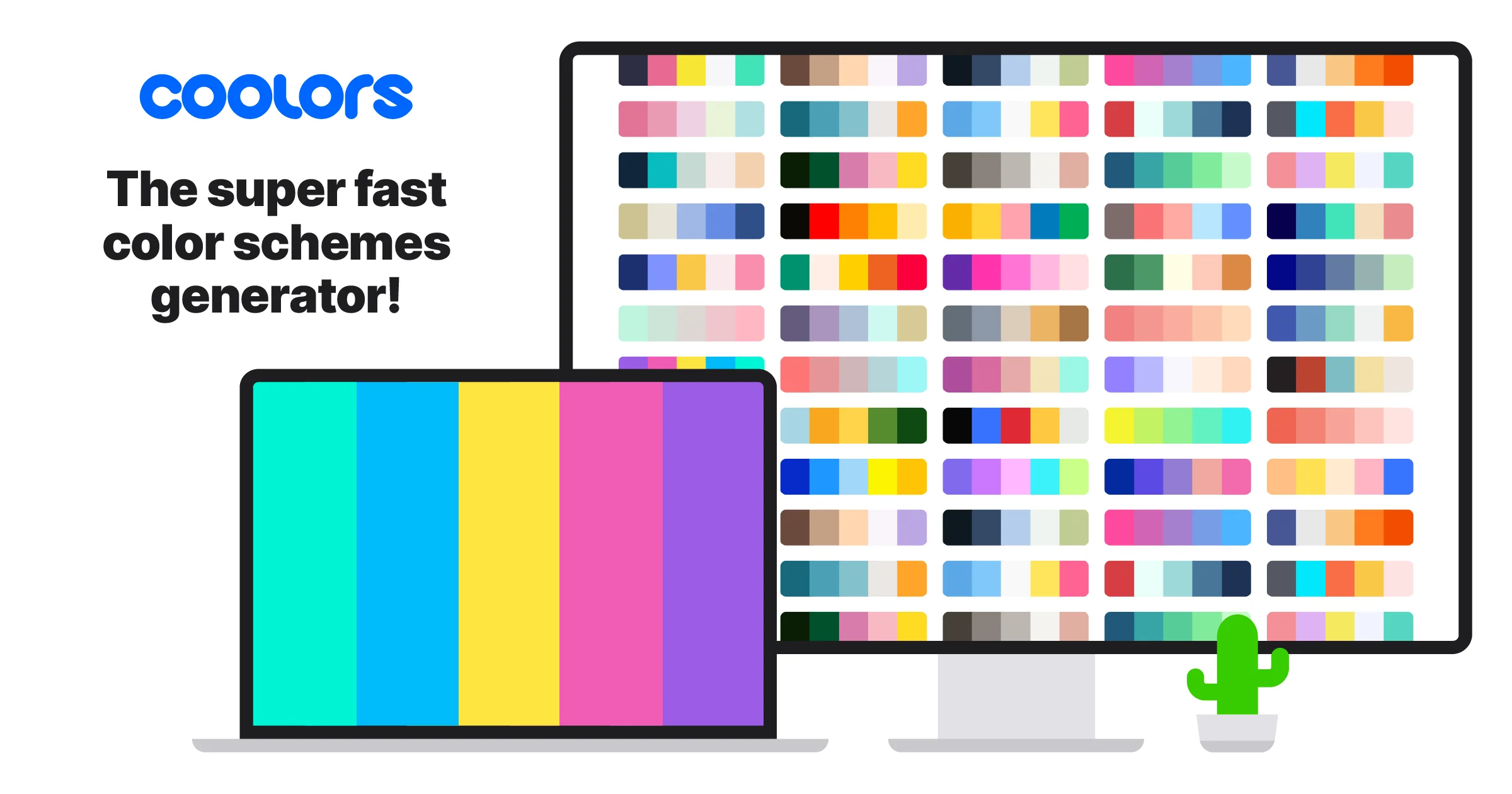 Coolors web preview