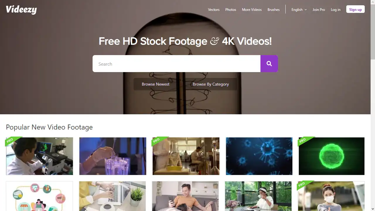 Videezy web preview